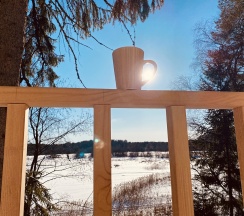 River House2 в Vyritsa Village