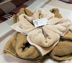 3-местный номер эконом семейный в Темпер прайд