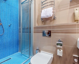 Стандарт с раздельными кроватями в Райкин Plaza Hotel