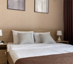 Стандартный номер с двуспальной кроватью в Авиатор by richotels
