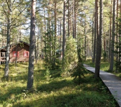 Сосновый бор 2+2 с двумя односпальными кроватями в Ладога озеро