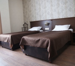 3-(Standard TWIN) в Смолка
