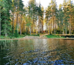 Коттедж стандарт в Black fox