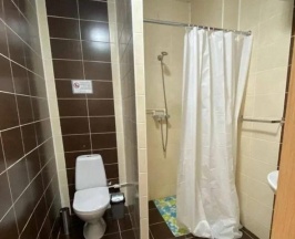 Номер комфорт с 3 односпальными кроватями в Аракуль