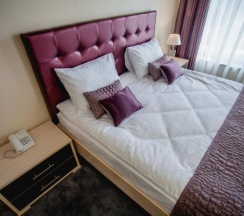 Трёхместный номер "Делюкс" с Сауной с 1 двуспальной кроватью King Size и диван-кроватью в Alex Aqua Hotel