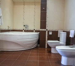 Люкс в Степная пальмира