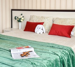 Двухместный делюкс в Милана