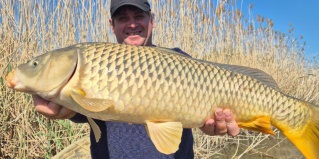 Камызякский район: Турбаза Золотой лотос