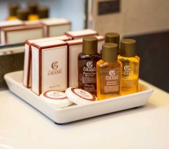 Двухместный номер Executive двуспальная кровать в Grami Hotel Sofia