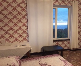 Двухместный номер с 1 кроватью или 2 отдельными кроватями и видом на море в На Санаторной