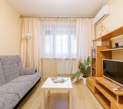 "Good home" Однокомнатная квартира (Метро Парнас, 3 минуты) в Rauktis apartments