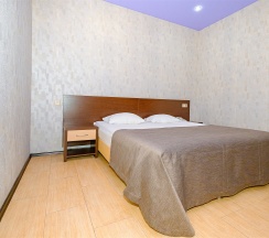 №101 в цоколе в Avangard Hotel