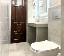 Стандарт трехместный в Bridge hotel