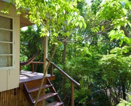 Одноместный номер Standard в Bubble Bungalow