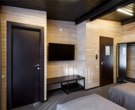 Стандарт Твин в Алтика