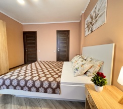 Номер полулюкс с 1 двуспальной кроватью в Солнце Тургенева