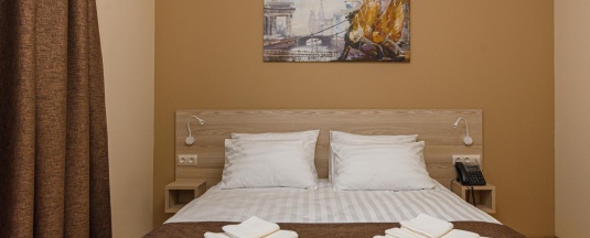 2-местный номер стандарт с 1 двуспальной кроватью в Ленинградский