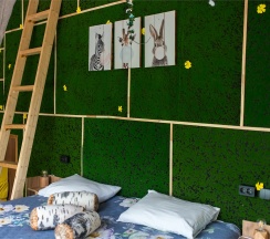 7 сфера "Цветочная поляна" в Багио