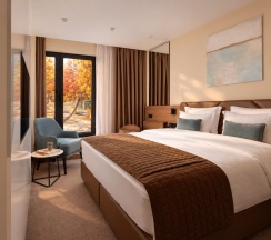 СТАНДАРТ с широкой кроватью с выходом на террасу в Palmira Garden Hotel & SPA