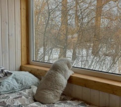 Круглый дом "Вращение 360" в Дом на дереве