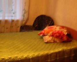 Номер стандарт с 1 двуспальной кроватью в Селенга