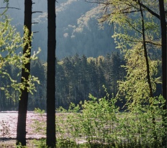 Номер Классик с двуспальной кроватью c видом на реку и балконом в Grand Chalet Altay