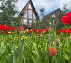 Светлое шале 2 в Рай в шалаше