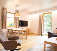 Двухместный полулюкс 2 отдельные кровати в Amenity Resort Spindleruv Mlyn