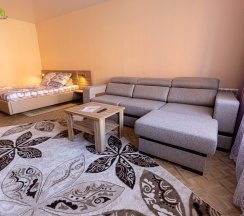 2-х местные улучшенные апартаменты S7 VIP в Siberia apartments