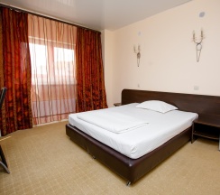 Номер стандарт с 1 двуспальной кроватью в Астория