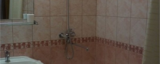 Двухместный номер SINGL в Приокская