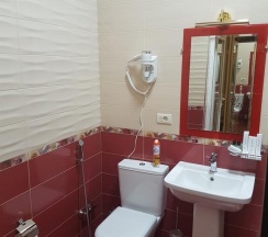 Номер люкс с 1 двуспальной кроватью в Нальчик Холл