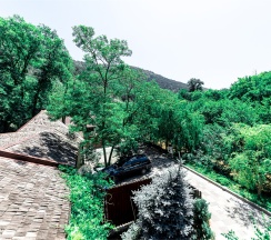 Джуниор сюит улучшенный с террасой Дом №5 в Лесная заимка