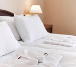 Стандарт двухместный с раздельными кроватями в Амакс ЭкоПарк