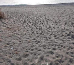 Номер Deluxe в La Mer