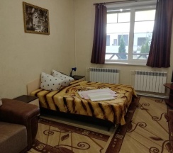 Номер люкс с 1 двуспальной кроватью в Уют