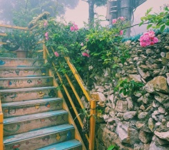 Двухместный номер Standard с видом на сад двуспальная кровать в Saigonese Trekking House - Hostel
