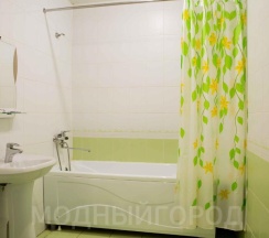 Номер стандарт с 1 двуспальной кроватью в Берлога