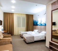 Двухместный стандарт  1 категории в Жемчужина Белокурихи