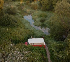 Woody Red в Hippy Hotel
