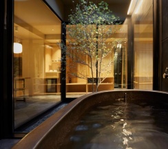 Люкс Premier в Agora Kyoto Karasuma