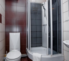 Номер стандарт с 1 двуспальной кроватью в Астория