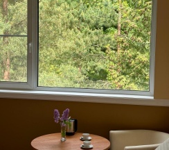 Номер стандарт улучшенный в Forest Relax