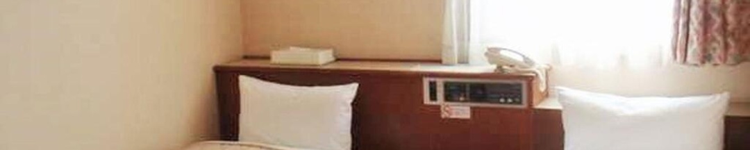 Двухместный номер Standard 2 отдельные кровати в Nishi Shinjuku Green Hotel