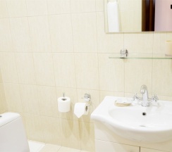 Комфорт  с 1-ой двуспальной кроватью в Евразийский