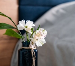 Люкс в Приозерный