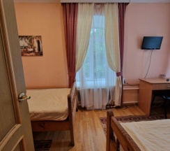 Двухместный номер Classic 2 отдельные кровати в Купеческий