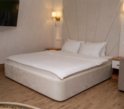 Люкс однокомнатный с камином в Мореин