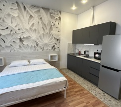 1-комнатные апартаменты студия с 1 двуспальной кроватью в Баринн