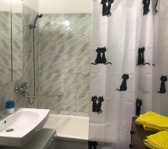 1-комнатные апартаменты стандарт в Apartment Maria (Апартмент Мария)